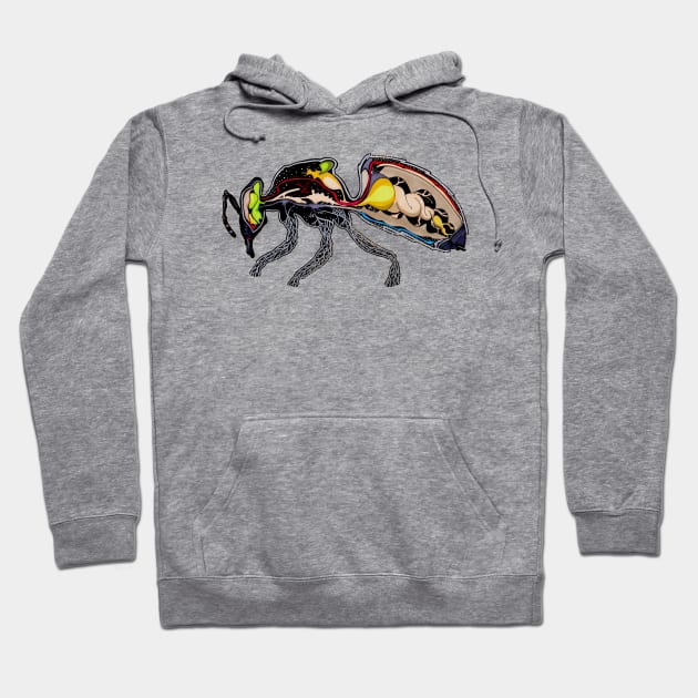 Honey Bee - Dissection Hoodie by wrg_gallery